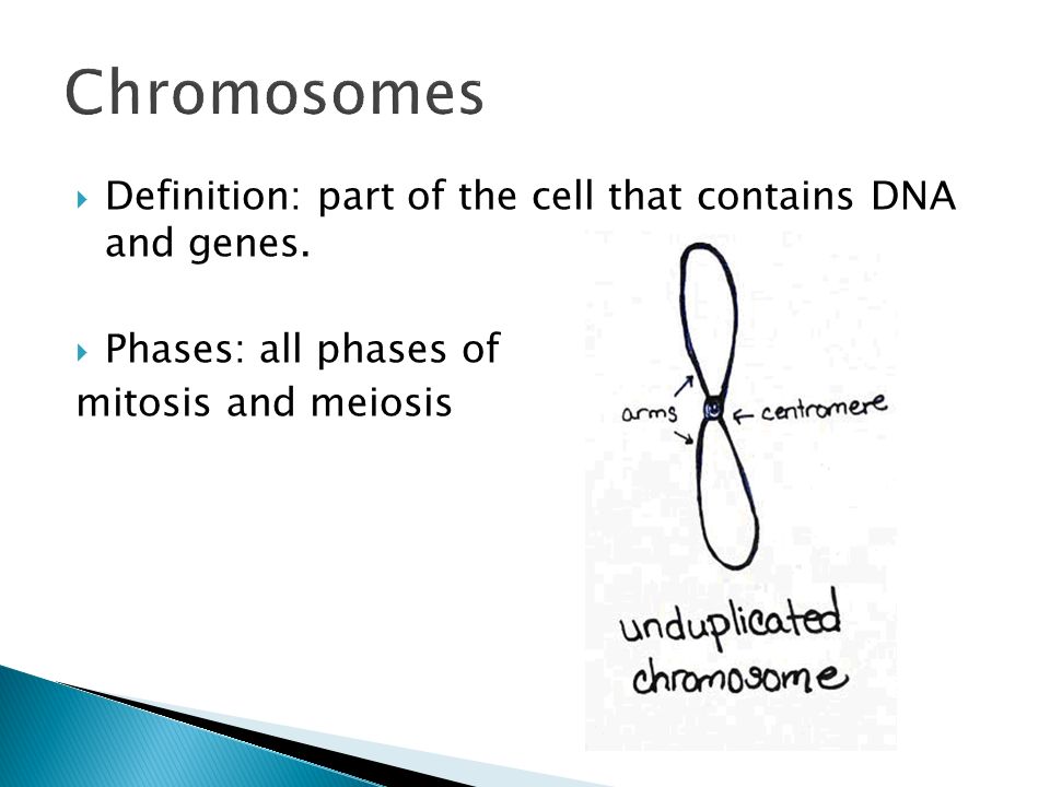 definition of sex chromosome